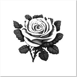rose tattoo Posters and Art